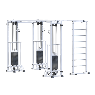 Биотонус-3+шведская стенка (стек 3х75кг) AR087